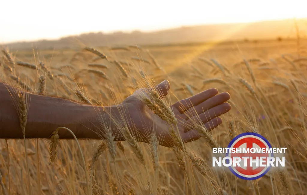 hand in wheat